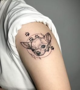 11 Puppy Lover Chihuahua Puppu with Paw Print Tattoo on Arm