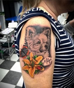 15 Color Ink Gorgeous Chihuahua Tattoo on Half Arm