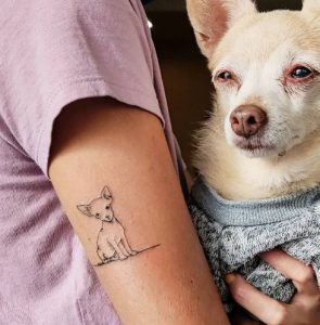 19 White Chihuahua Tattoo on Arm