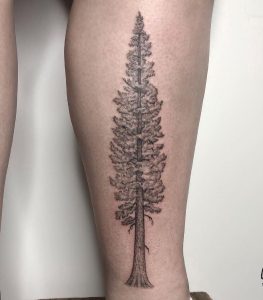 22 Balck Inked Ever Green Tree Tattoo for Female on Back Lower leg