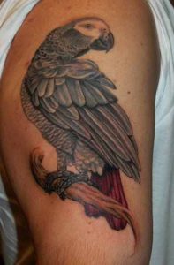 Gray and Black Parrot Tattoo 1