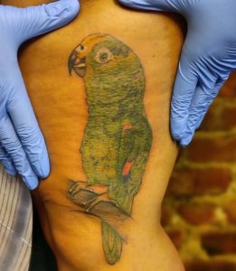 Green parrot tattoo 2