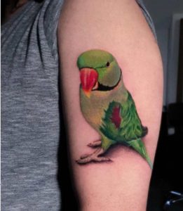 Green parrot tattoo 3
