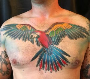 Tattoo uploaded by Acqua Santa Tattoo  Awesome bold and colorful traditional  parrot by Klever Lliguipuma parrottattoo BoldTattoos traditionaltattoo  sailorjerry ColorfulTattoos birdtattoo  Tattoodo