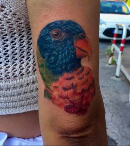 Parrot head tattoo 5