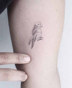 Parrot line tattoo 1