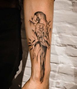 Parrot tattoo on forearm 5