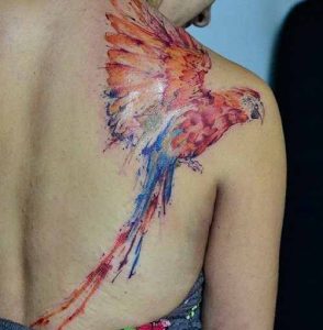 Parrot tattoo shoulder 3