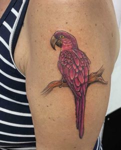 Red parrot tattoo 3