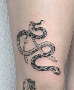 Snake with Wishbone Tattoo