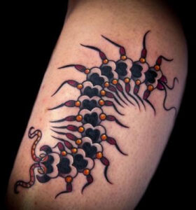 realistic centipede tattoo