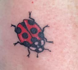 Ladybug Toe Tattoo