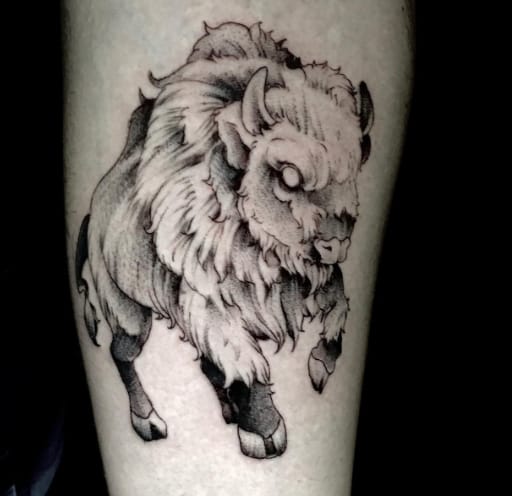 Angry Bison Tattoo
