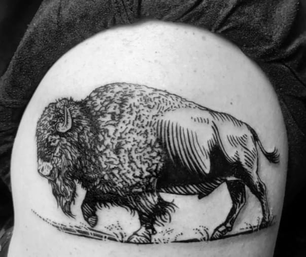 Bison Realistic Belly Tattoo