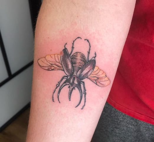 Rhinoceros Beetle Tattoo