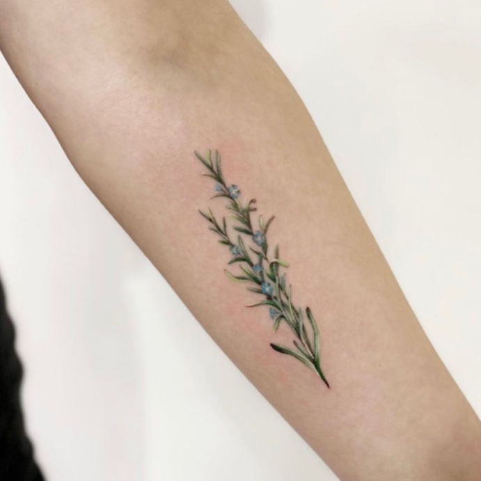 Rosemary Plant Tattoo
