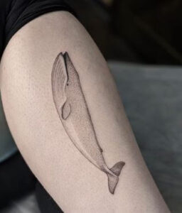 blue whale tattoo 1