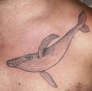 humpback tattoo