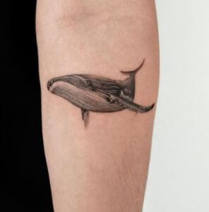humpback whale tattoo