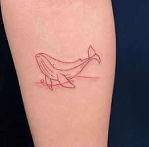 humpback whale tattoo 4