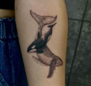 killer whale tattoo