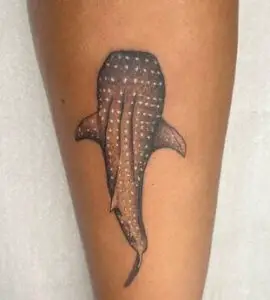 whale shark tattoo 3