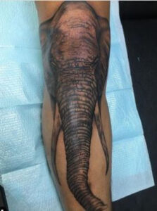 elephant knee cap tattoo