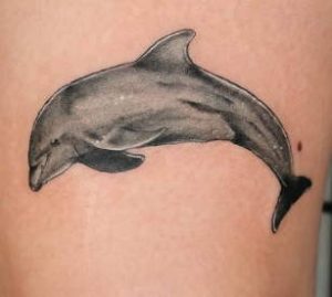 Black Dolphin Tattoos