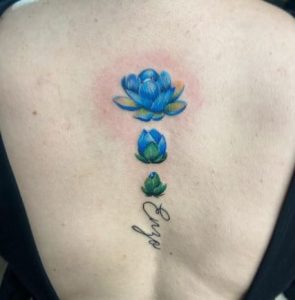 Spine Water Lily Colorful Design