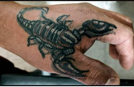 cover up the scorpion tattoo
