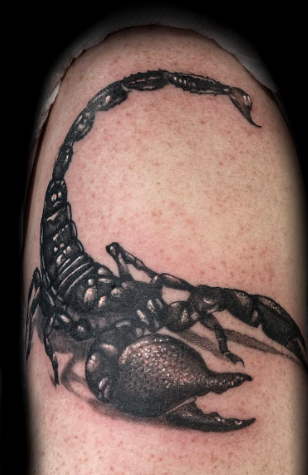 scorpion tattoo on arm