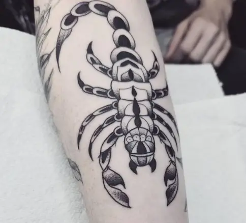 trad scorpion tattoo