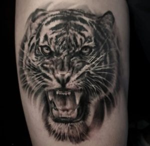 Angry Tiger Face Tattoo On Shoulder