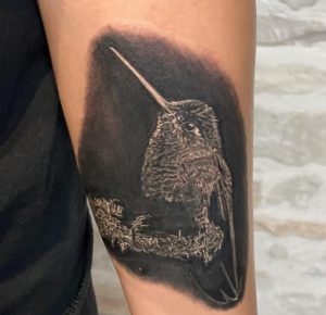 Black Shaded Hummingbird Tattoo