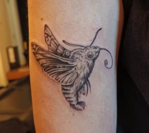 Hummingbird Black & White Moth Tattoo