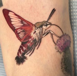 Hummingbird Red Moth Tattoo