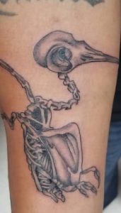 Hummingbird Skeleton Tattoo