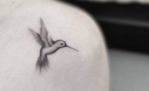 Mini Hummingbird On The Shoulder