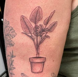 Rit Kit Tattoo - Second plant is Anthurium or Artist's... | Facebook