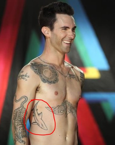 Adam Levine Shark tattoo
