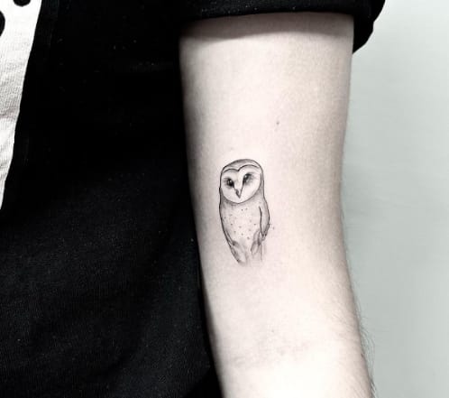 Owl Couple Tattoo