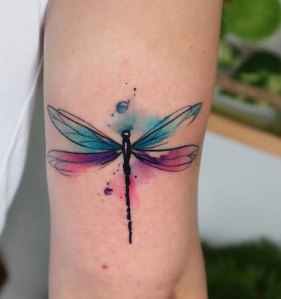Blue And Purple Colored Dragonfly
