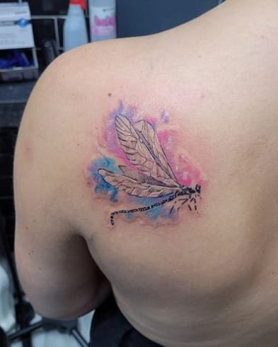 Dragonfly Colorful Back Design