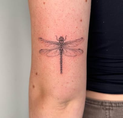 Dragonfly Dotted Design