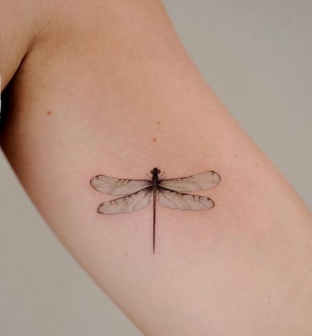 80+ Dragonfly Tattoo Ideas To Inspire Your Next Design - Tattoo Twist