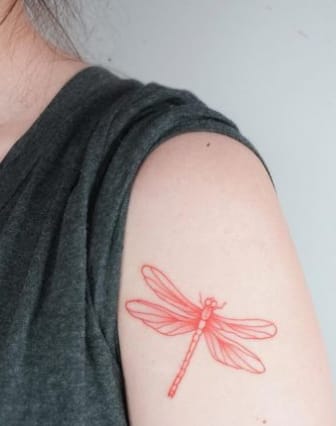 Red Dragonfly On The Shoulder Updated