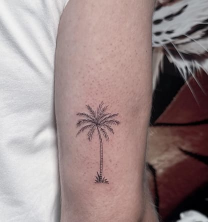 Fineline Palm Tree On The Forearm