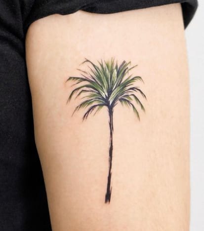 Magical Illustration Of Palm Tree